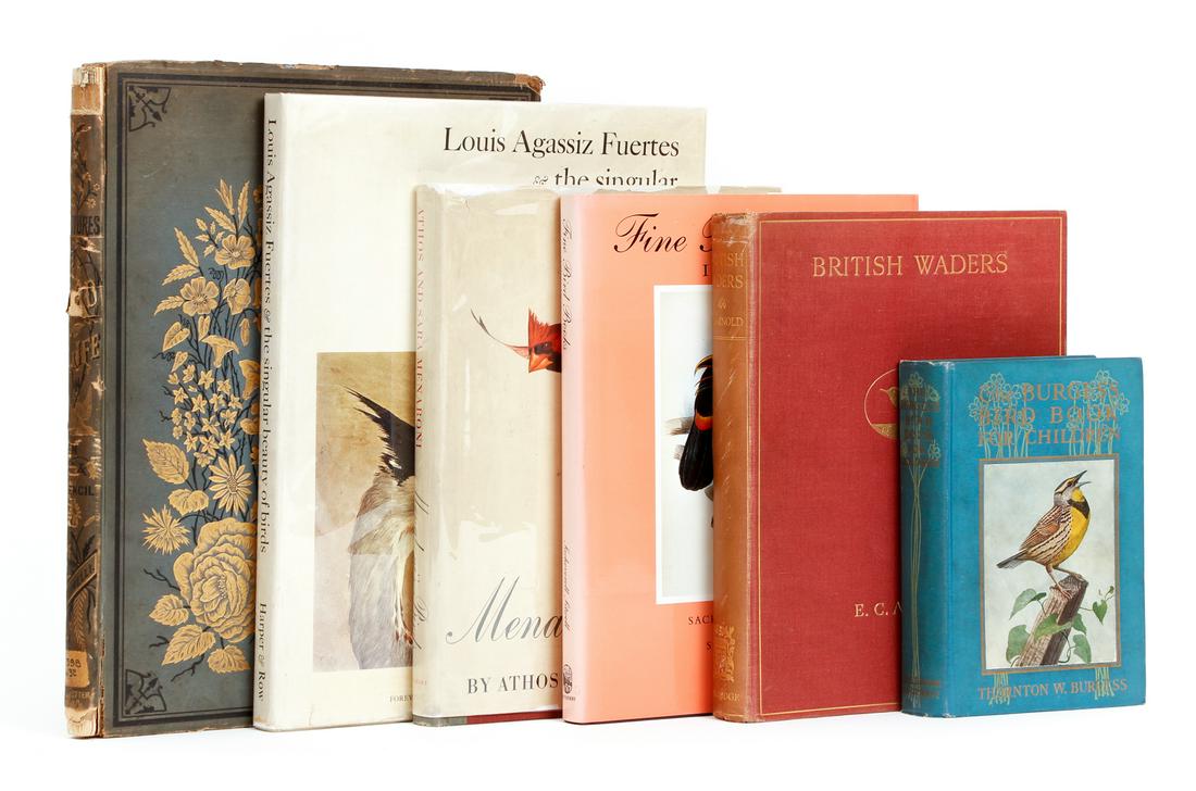 Lot 6 Bird Ornithology Books Agassiz Burgess: Lot of 6 books about birds: Burgess Bird Book for Children, 1919, first edition / British Waders by Arnold, 1924 / Fine Bird Books 1700-1900 by Sitwell, 1900, second edition / Louis Agassiz Fuertes an