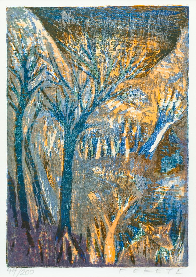 Group 6 Woodcuts Fekete Signed Color (1 of 20)