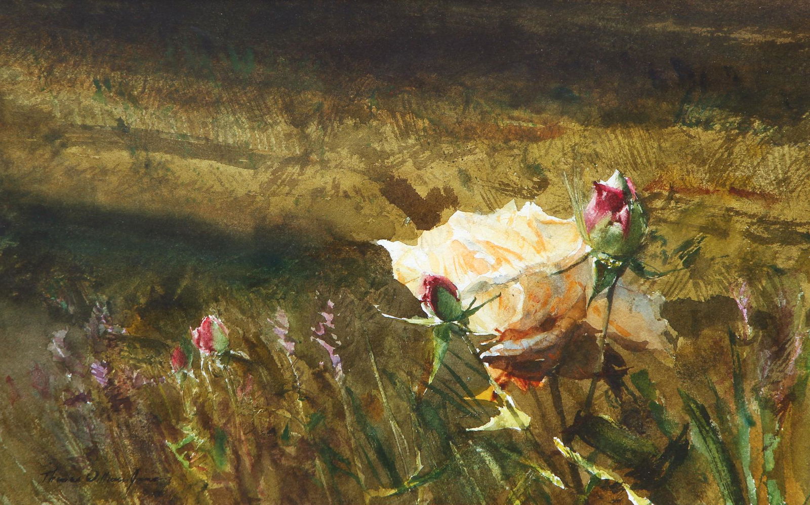 Thomas William Jones Roses Lavender Watercolor (1 of 8)