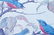 Pair Basil Ede Signed Bird Prints Blue Jays - 11
