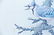 Pair Basil Ede Signed Bird Prints Blue Jays - 5