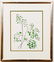 Henry Evans 1972 linocut Maidenhair Fern - 2