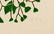 Henry Evans 1972 linocut Maidenhair Fern - 4
