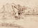 Pair Frank Hnat Ink Wild Bird Drawings