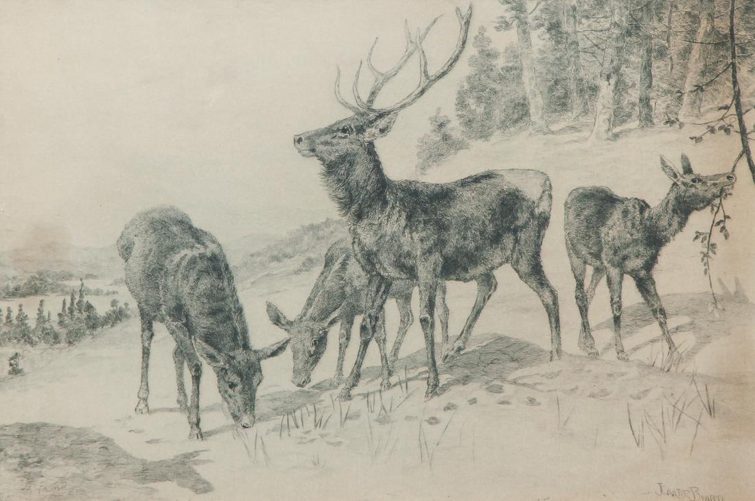 James Carter Beard Print Deer (1 of 7)