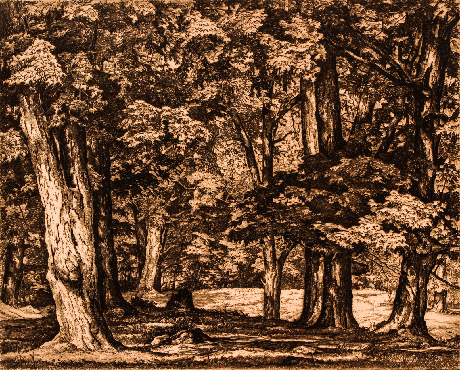 Luigi Lucioni 1945 etching Tree Tapestry (1 of 4)