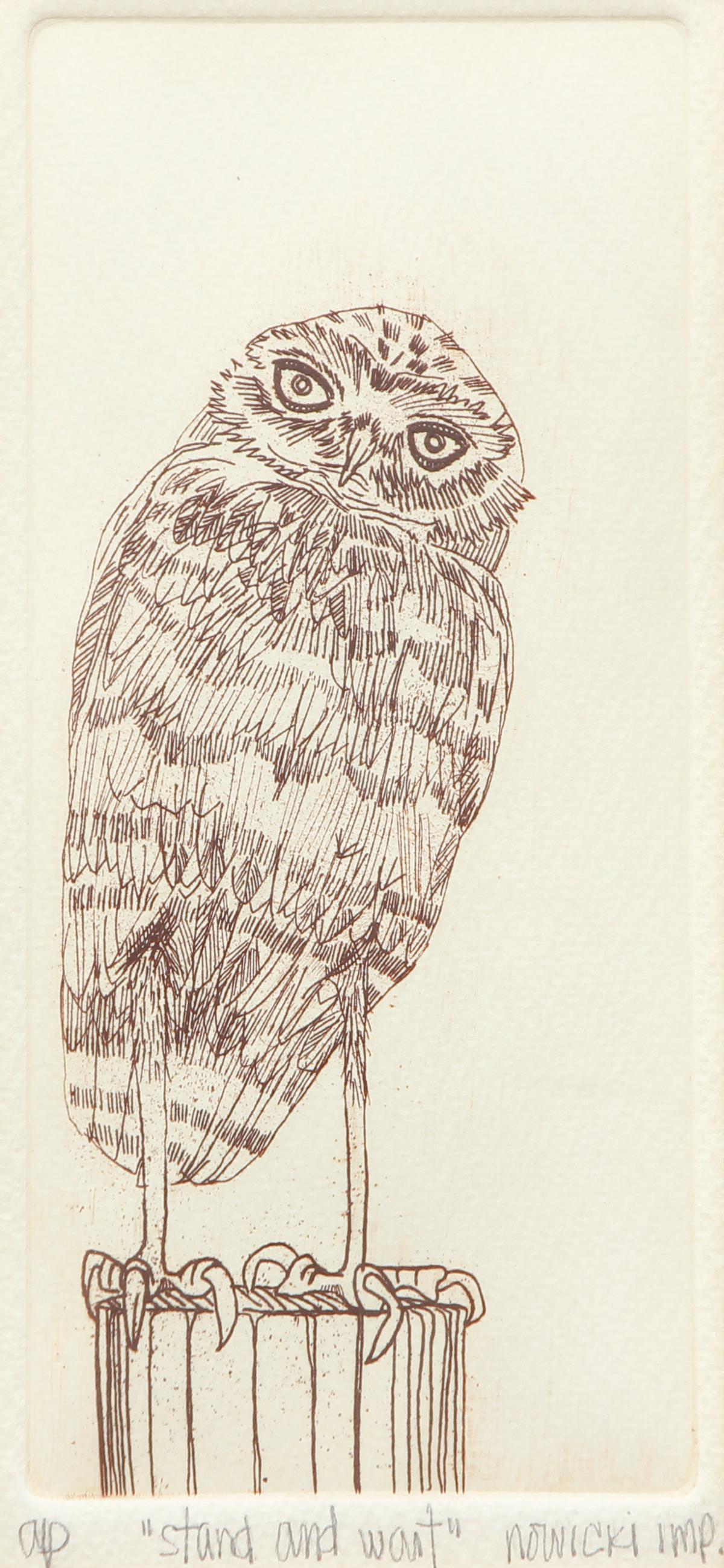 David Nowicki 3 Owl Prints Signed (1 of 9)