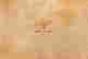 item-89697655=11