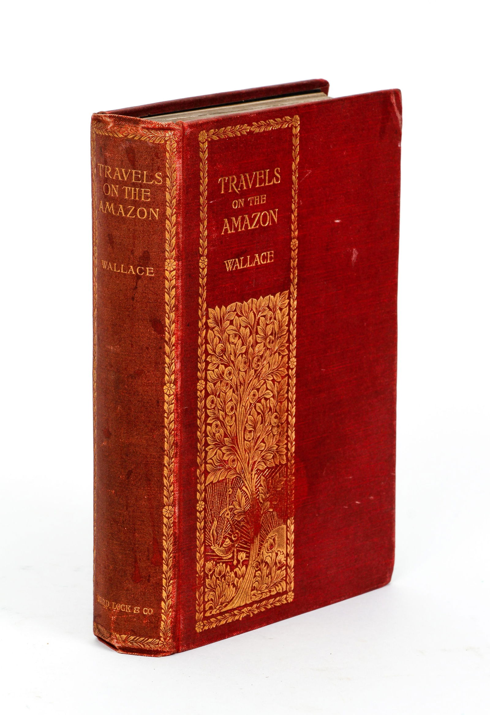 Alfred Wallace Travels Amazon Rio Negro 2nd ed: Wallace, Alfred Russel, Travels on the Amazon and Rio Negro, With An Account of Native Tribes, (1889), Second edition, corrected, Ward, Lock and Co., hardcover, short 8vo., original red cloth, illustr