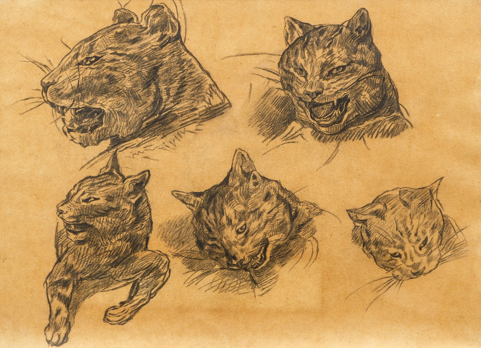 attrib. to Theodore Gericault Study of Cat's Heads (1 of 5)