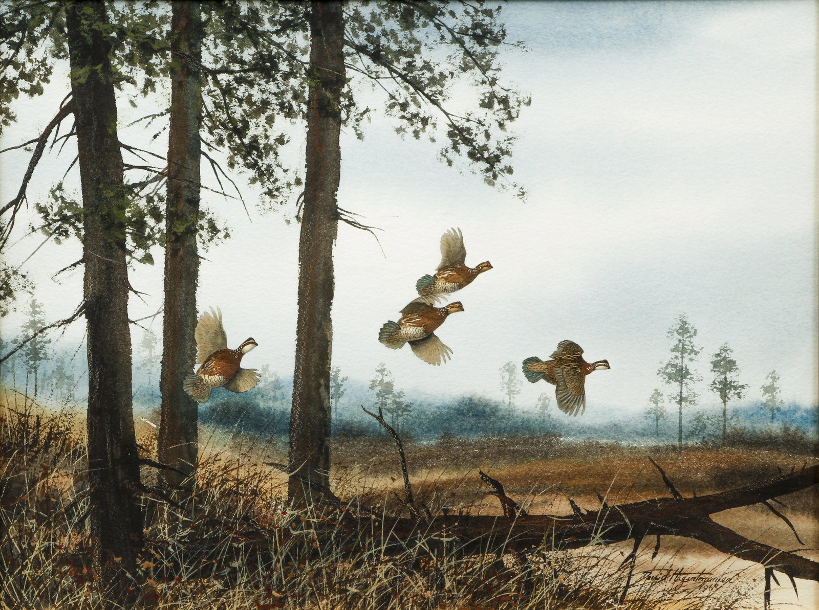 David Hagerbaumer 1963 watercolor Quails (1 of 6)