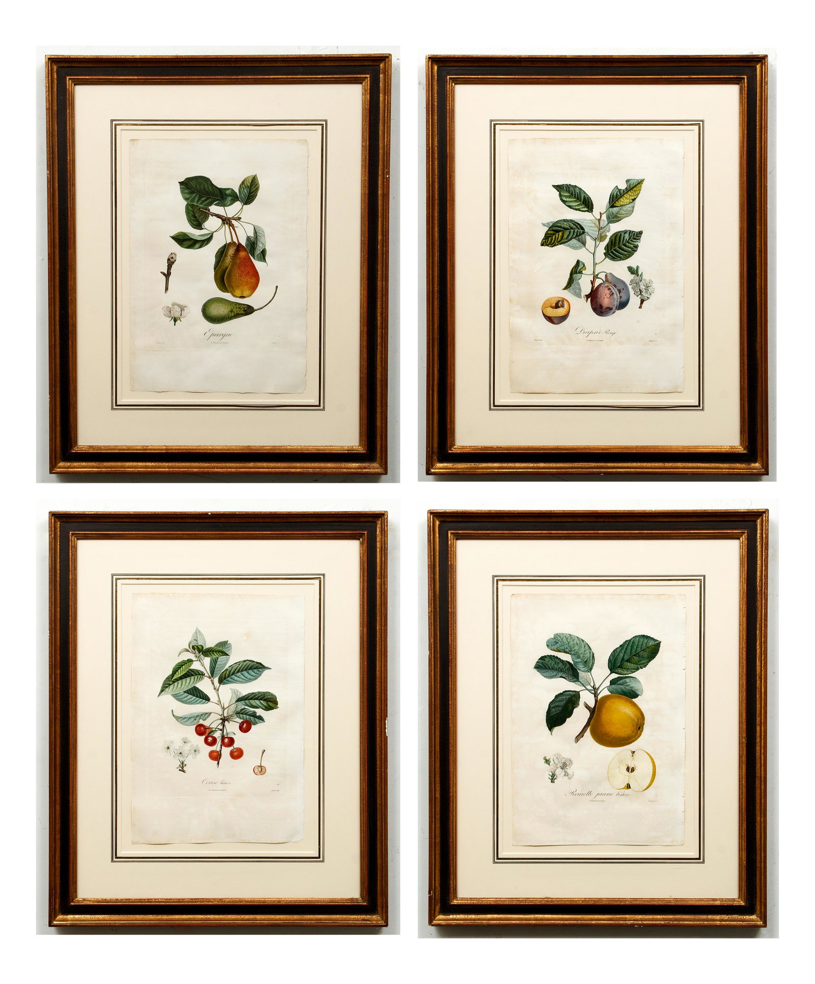 4 French engravings or Fruit with Decorative Frames (1 of 13)
