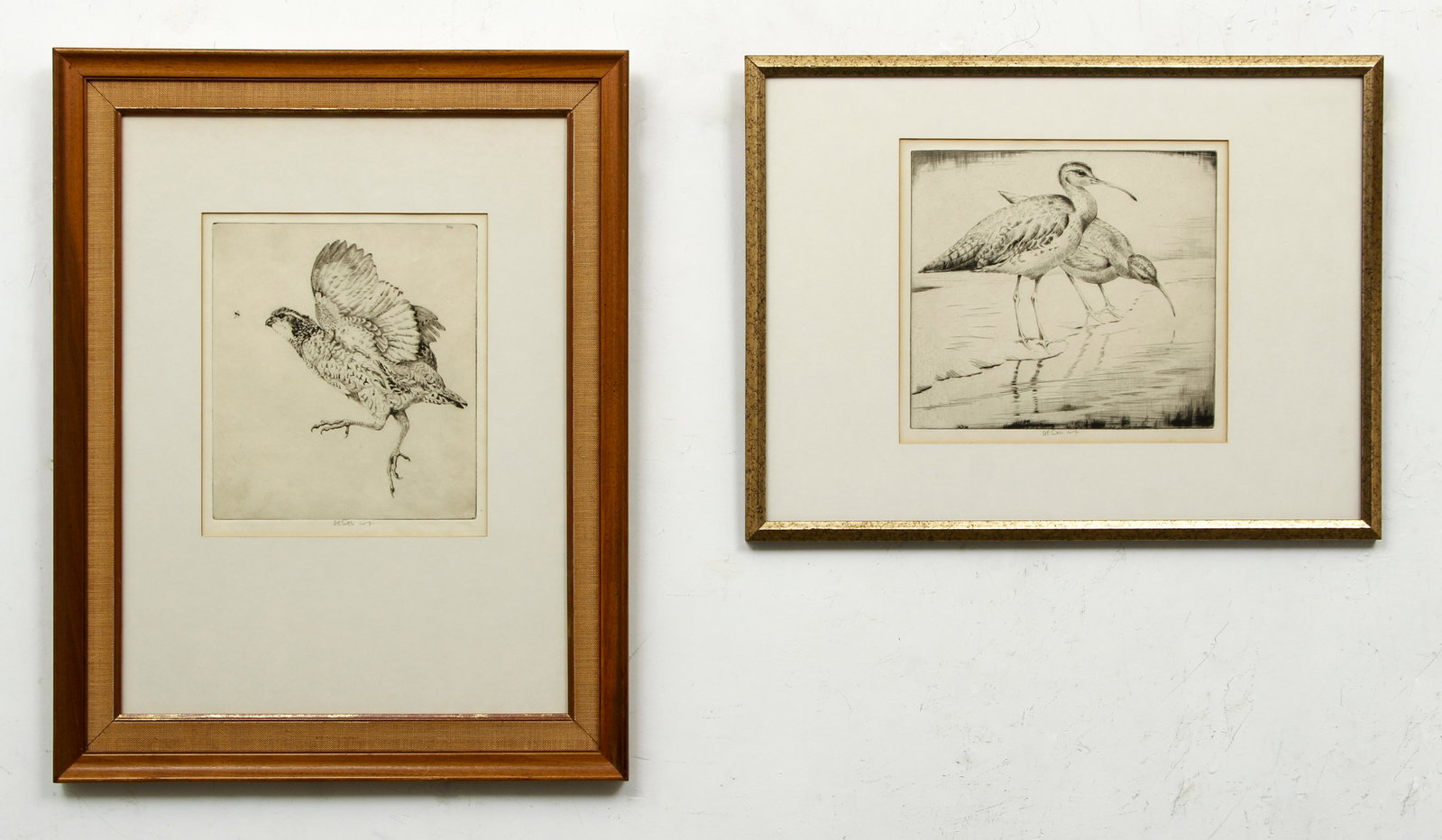 Pair of Henry Emerson Tuttle Bird Etchings: Tuttle, Henry Emerson (1890-1946), Pair of etchings of Birds, each one signed by the artist in pencil at lower margin, largest image 9.5 x 8.75 inches, both matted and framed 23.5 x 18.5 inches.
