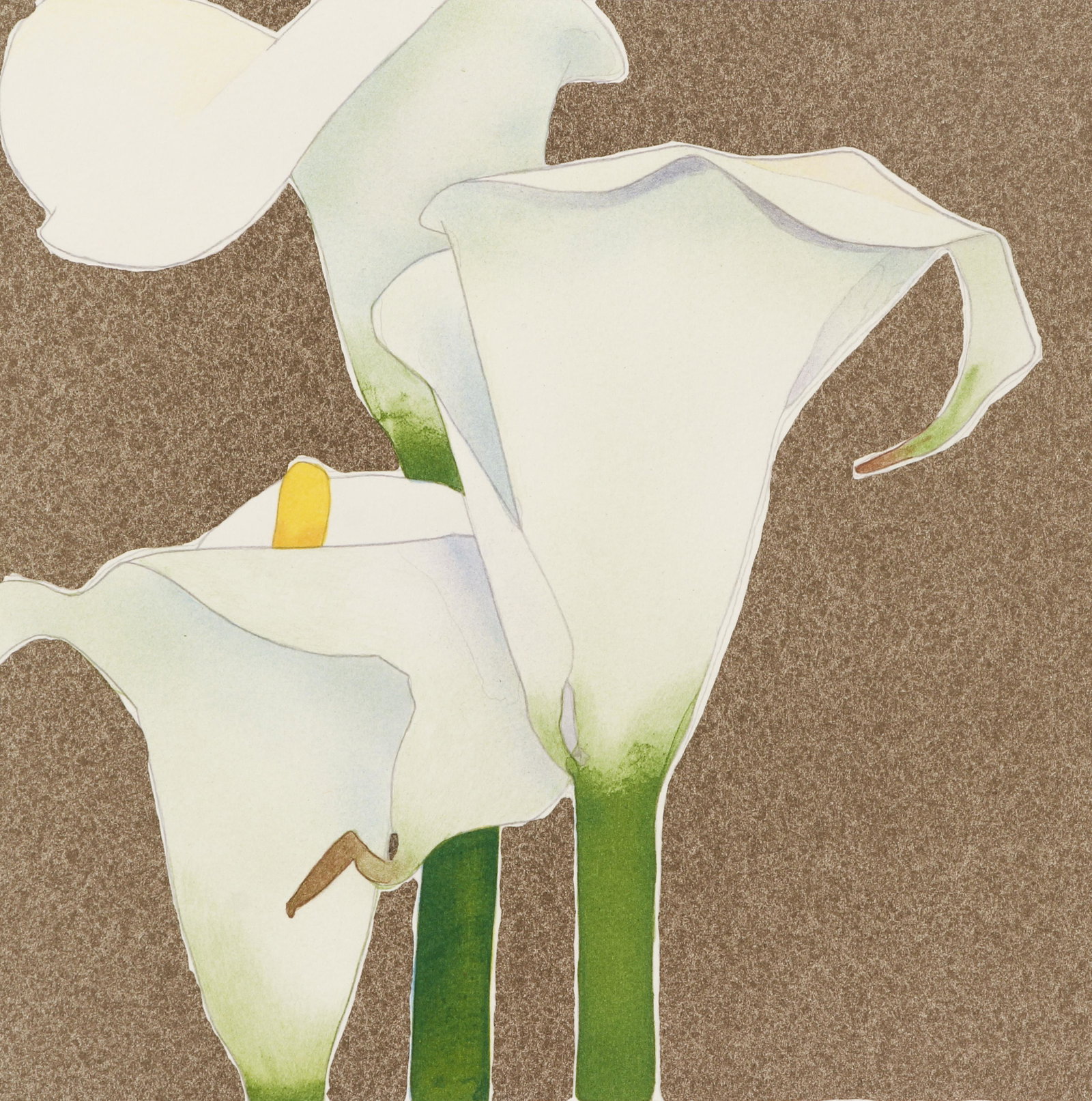 Gary Bukovnik 1998 orig litho Calla Lily Study: Bukovnik, Gary (American, born, 1947), Calla Lily Study, 1998, lithograph printed in colors, 14.6 x 13.5 inches sheet size, pencil signed and numbered 12/20 SI, unframed