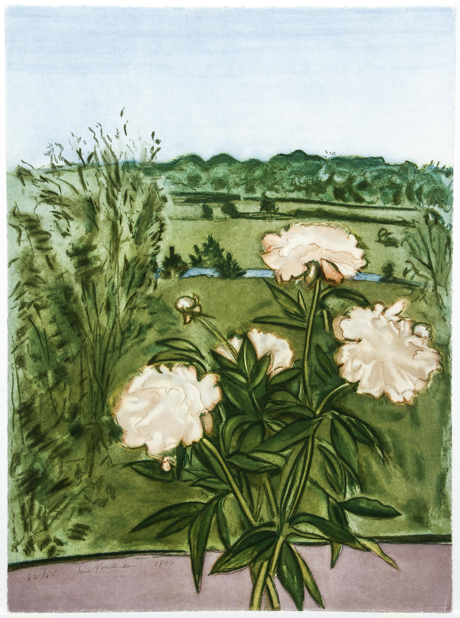 Jane Freilicher Peonies Signed Litho 1990: Freilicher, Jane Niederhoffer (American, 1924-2014), Peonies, 1990, color lithograph, signed, dated and numbered 62/65 in pencil lower left, full sheet 29.5 x 21.75 inches.