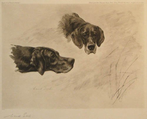 Maud Earl signed photogravure Black Pointers: Artist: Earl, Maud (British 1863-1943) Title: Black Pointers, "Black but Comely" "Lorne and Kate" Owner D. M. Forbes, Esq. No. #11 Date: 1908 Medium: photogravure Dimensions: 12 x 14.5 inches