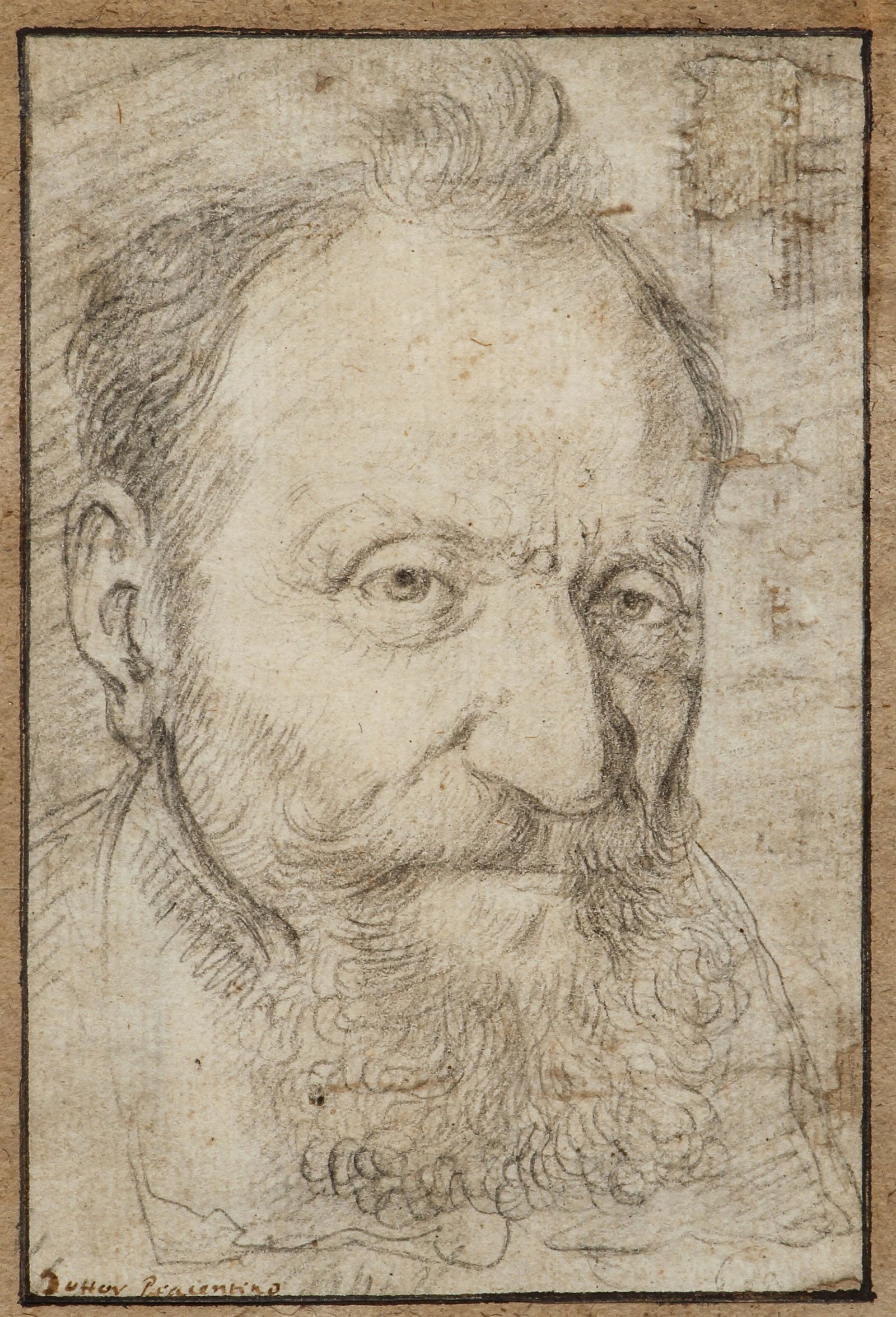 Attrib. Santi Di Tito drawing Head of Older Man (1 of 4)