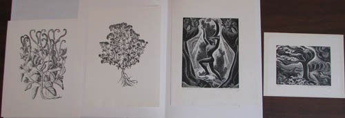 4 Margaret Bruce Wells wood engravings Childhood o: Artist:Wells, Margaret Bruce (Scottish, 1909-1998) Title:The Childhood of a Tree, Storm, 2 Botanicals Date:1937, 1938, and 1940's Medium:wood engravings Dimensions:8 1/8 x 6 3/8 inches, 8.5 x 6.5 inch