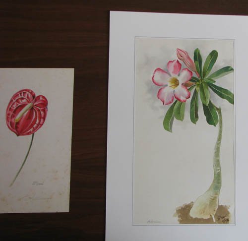 2 Botanical watercolors by J.P.Irani: Artist:Irani, J. P. (20th Century Indian Naturalist Painter) Title:Adenium and Anthurium Date:1986 Medium:watercolors Dimensions:11 x 5.75 inches and 8.5 x 5 inches Signature: both signed