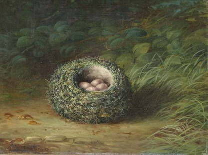 Tom Hold Bird's Nest with Eggs in the Woods ptg: Hold, Tom (English, 19th Century) Bird's Nest with Eggs in the Woods oil on canvas 10 x 12 inches Signed lower left Tom Hold and on canvas reverse Tom Hold Westgate Barnsley Provenance: James J. White