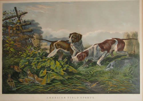 Currier and Ives American Field Sports:: Artist: Currier and Ives (Nathaniel Currier (1813–1888) and James Merritt Ives (1824–1895)) Title: AMERICAN FIELD SPORTS: "ON A POINT" (G. 163; P. 3261) Date: 1857 Medium: Lithograph with hand-col