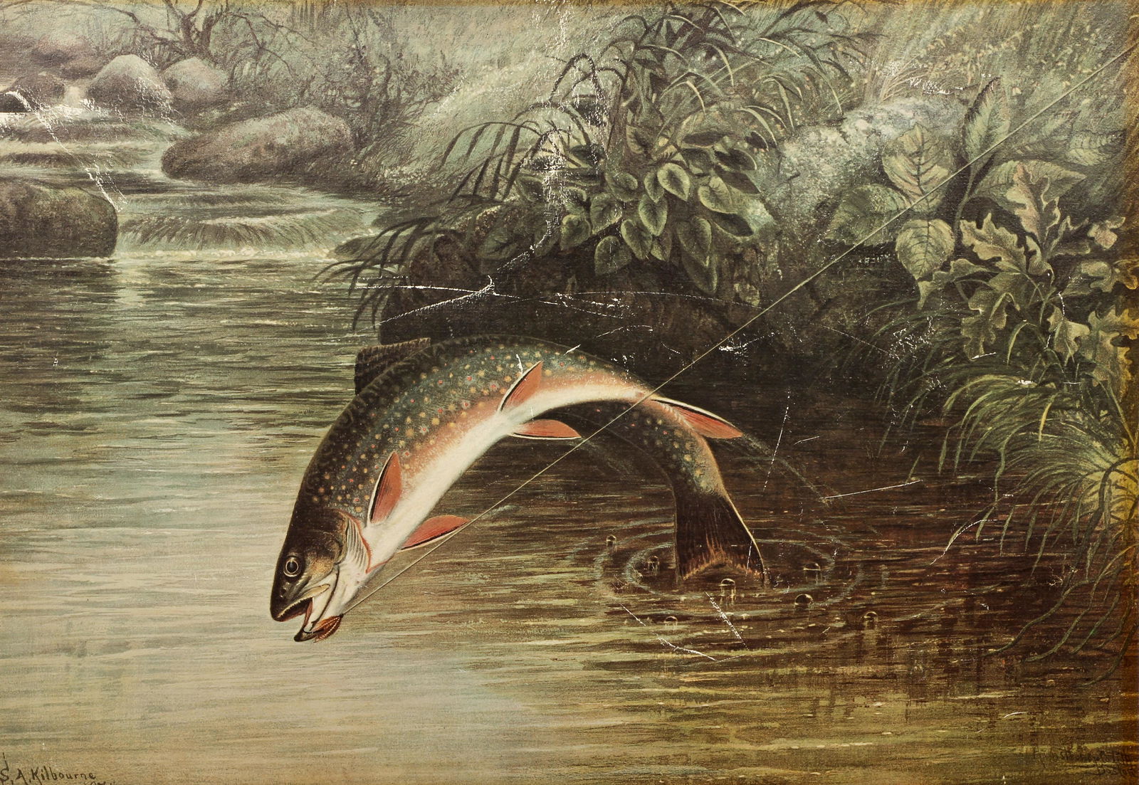 Samuel Kilbourne Pair Chromolithograph Fish (1 of 11)