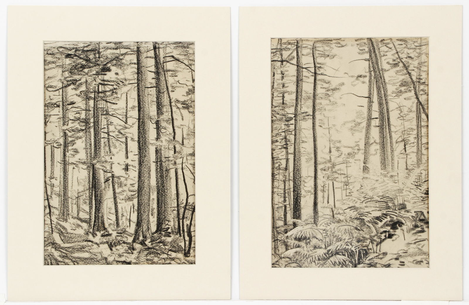 Pair Andrey Avinoff Charcoal Drawings Cooks Forest (1 of 5)