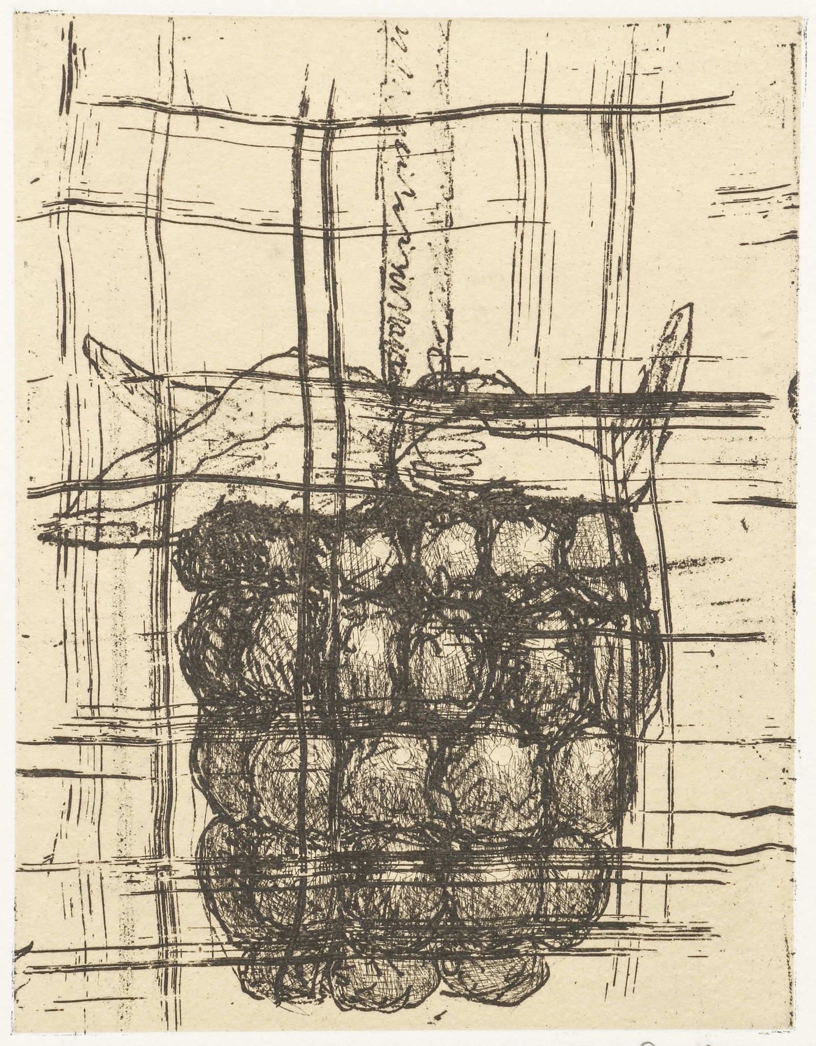 Aaron Fink Untitled Grapes 1992 Etching Signed (1 of 5)