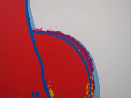 Andy Warhol "Giant Panda" from Endangered Species - 7