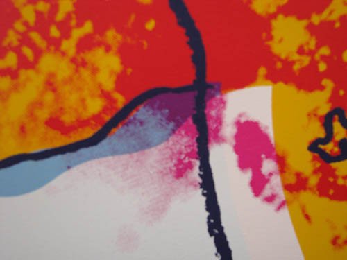 Andy Warhol "Giant Panda" from Endangered Species - 9