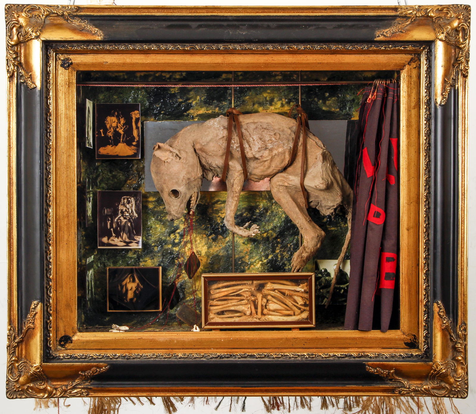 Bob La Bobgah shadow box La Cirque de La Loba (1 of 7)