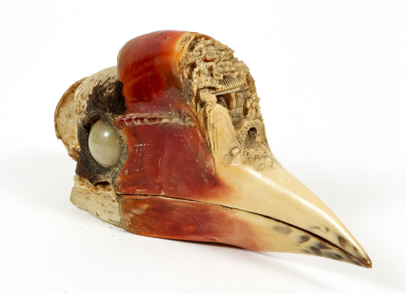Carved in Relief Chinese Hornbill Bird Skull (1 of 5)