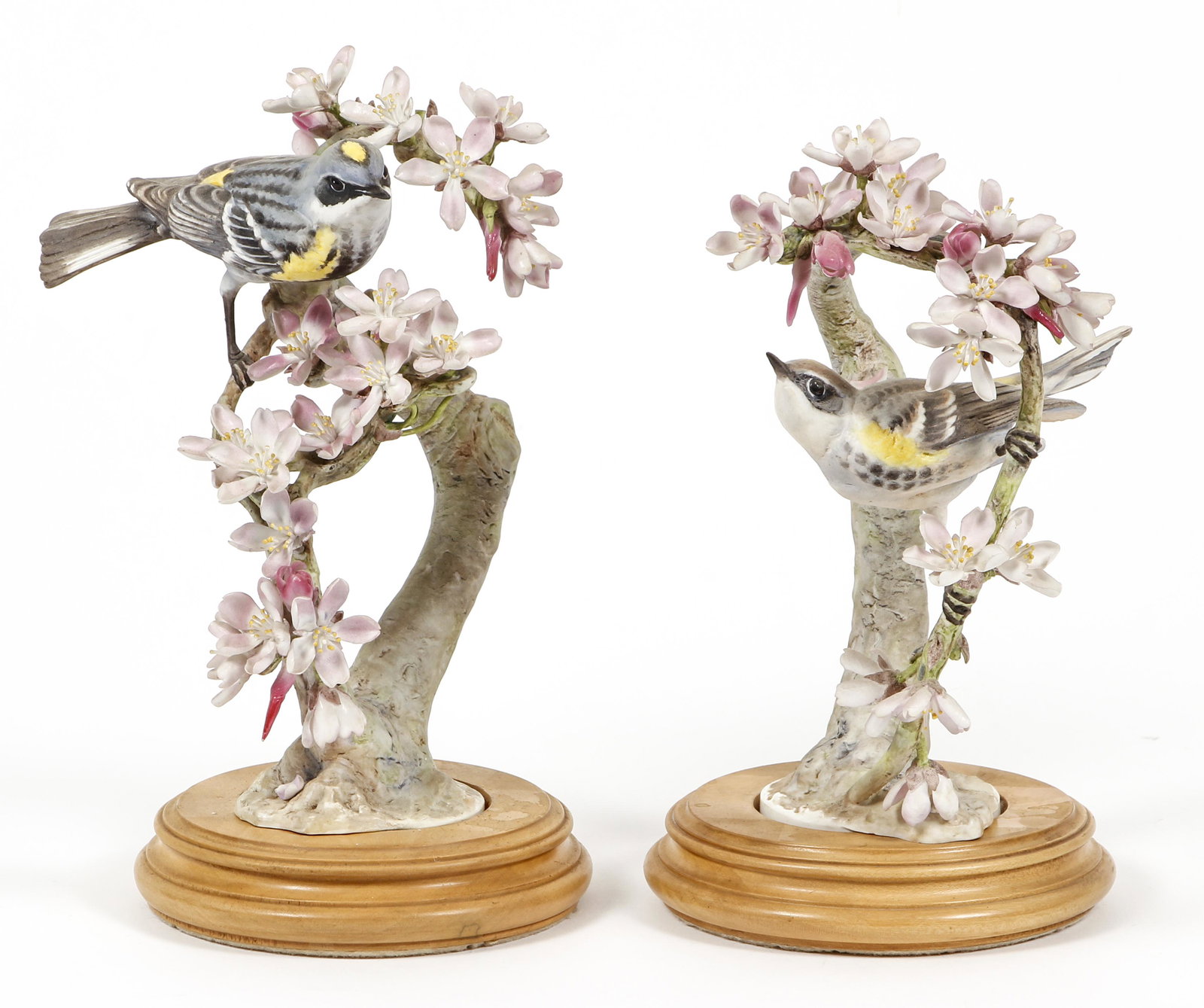 Dorothy Doughty Myrtle Warbler Pair Porcelain (1 of 9)