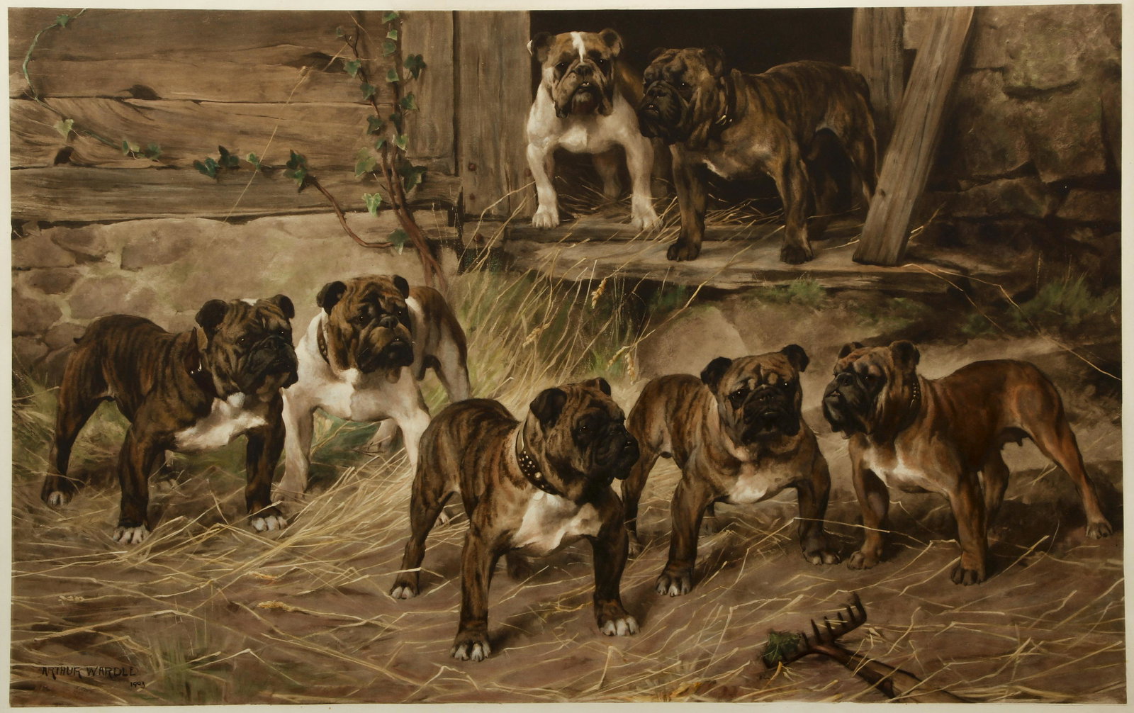 Arthur Wardle print Bull Dogs of The 20th Century (1 of 4)