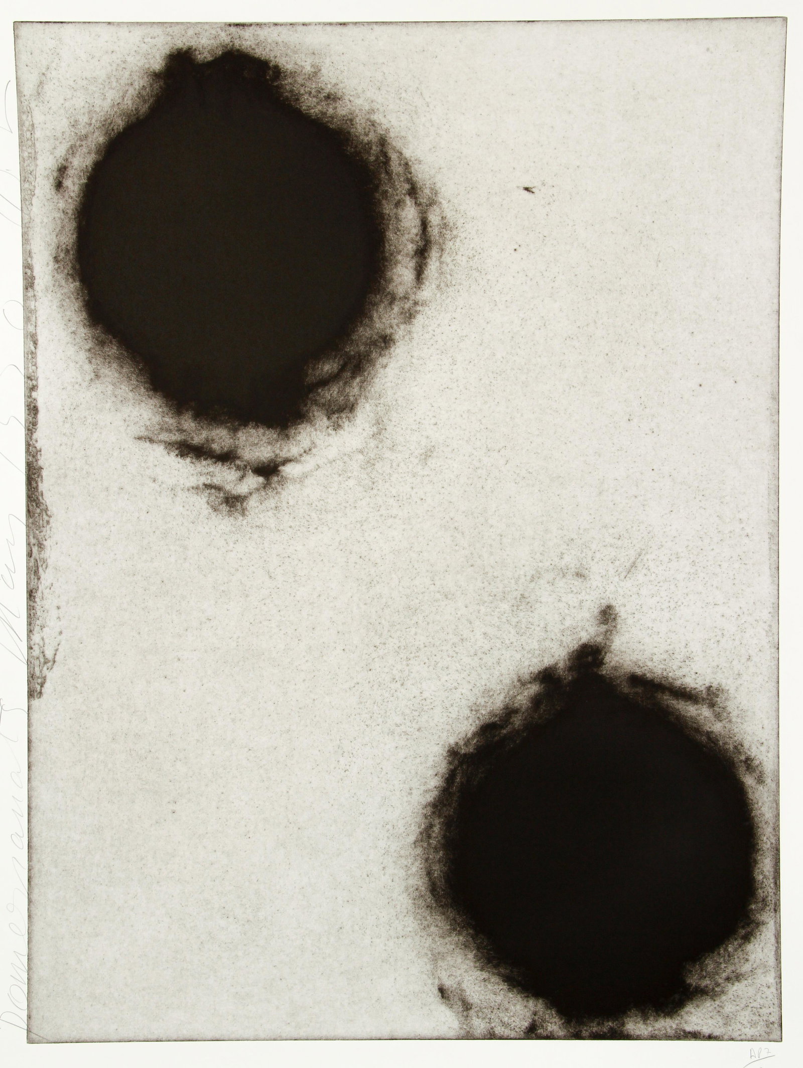 Donald Sultan 1990 etching and aquatint Pomegranates II (1 of 6)