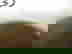item-8043135=4