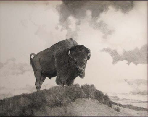Douglas Allen Buffalo Charcoal Drawing: Artist: Allen, Douglas Title: Buffalo On the Range Medium: charcoal on paper mounted to board Dimensions: 38.5 x 47.5 inches Signature: Pencil signed lower right Frame Type: silver wood F