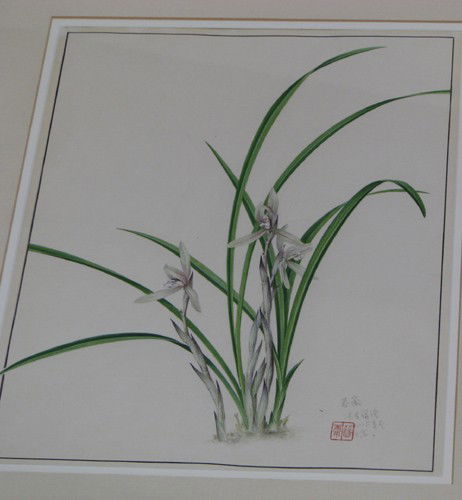 Jin-Yong Feng botanical illustration Cymbitiam Gae: Artist: Feng, Jin Yong (20th Century Chinese) Title: Cymbitiam Gaeringii Rchb.f Date: 1986 Medium: watercolor and gouache Dimensions: 14.25 x 10.25 inches Description: botantical illustration