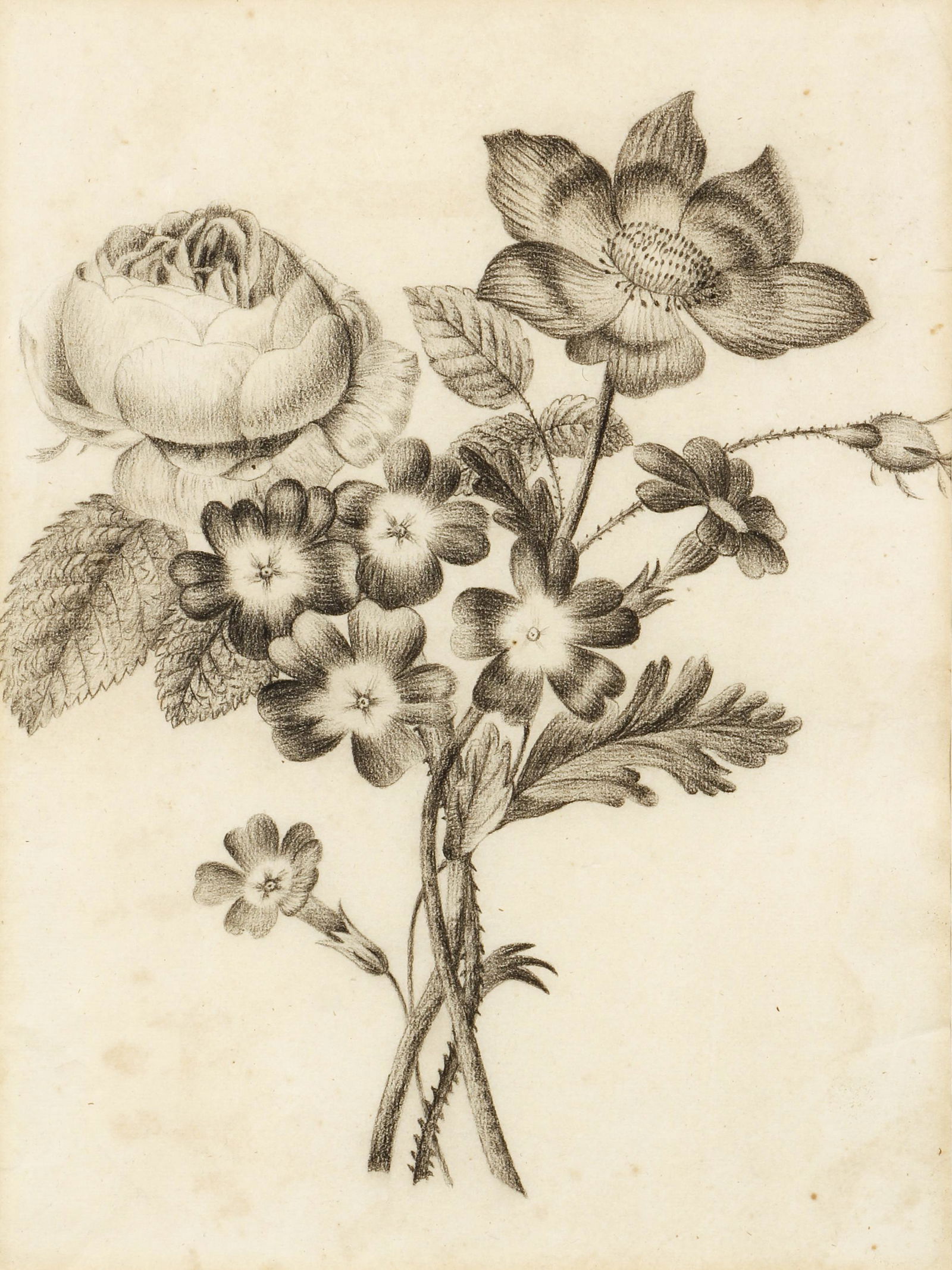 19th Century American Still Life Drawing (1 of 3)