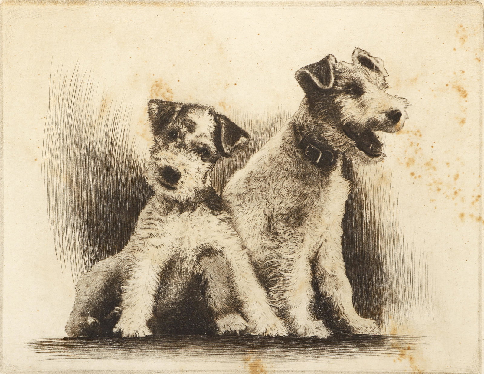 John C. James signed etching Airdale Pups (1 of 5)