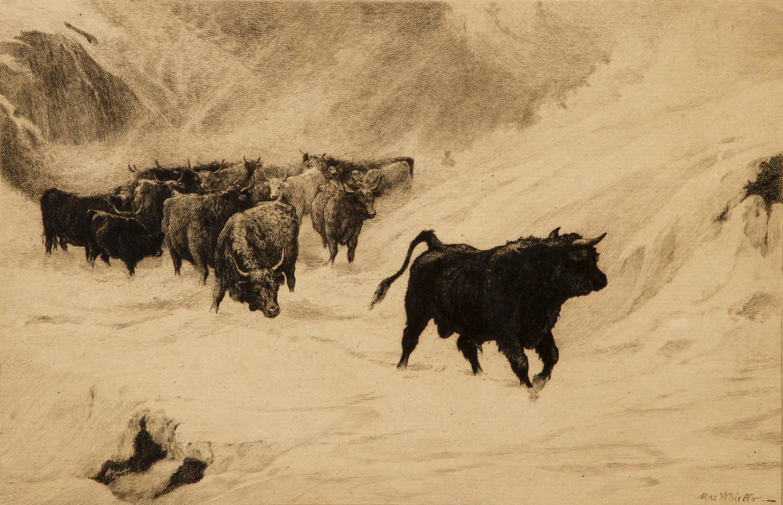 Charles Murray etching The Vanguard after MacWhirter (1 of 4)