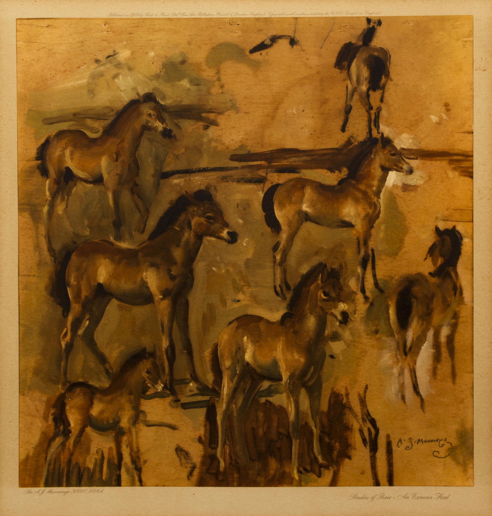 Alfred Munnings Studies of Pixie Lithograph (1 of 4)