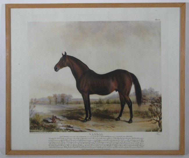 12 Famous American Thoroughbreds mezzotint prints : Artist: Troye, after Edward (American racehorse specialist 1808-1874), The Gosden Head New York Title: Leamington, Vandal, Boston, Tranby, Longfellow, Asteroid, Australian, Glencoe, Sir Henry, Trifle,