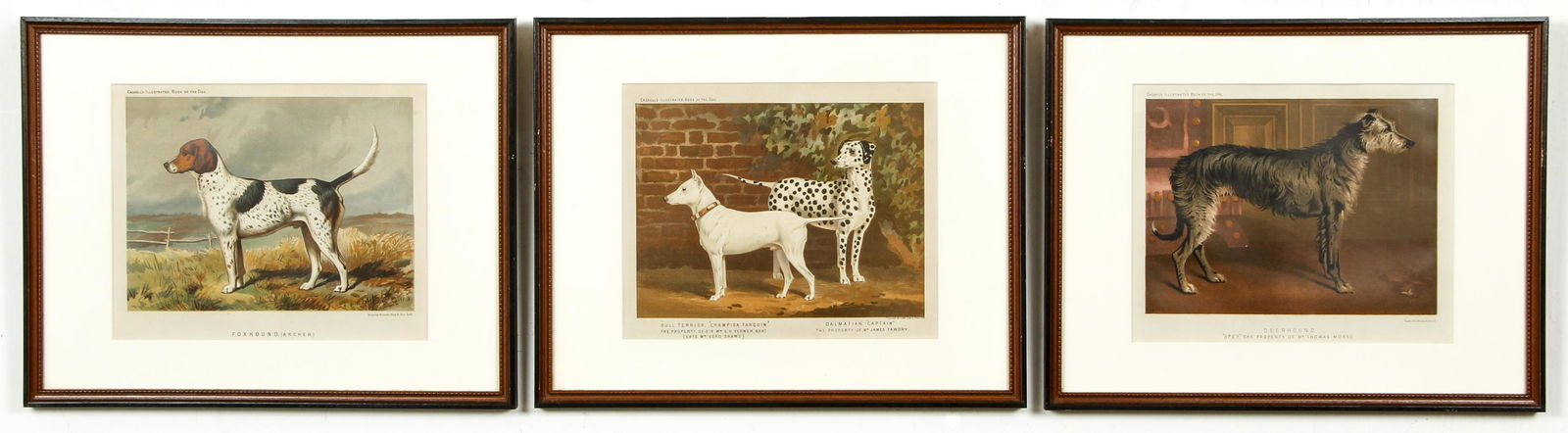 3 Framed Cassell Prize Winning Dog Chromolithographs (1 of 10)