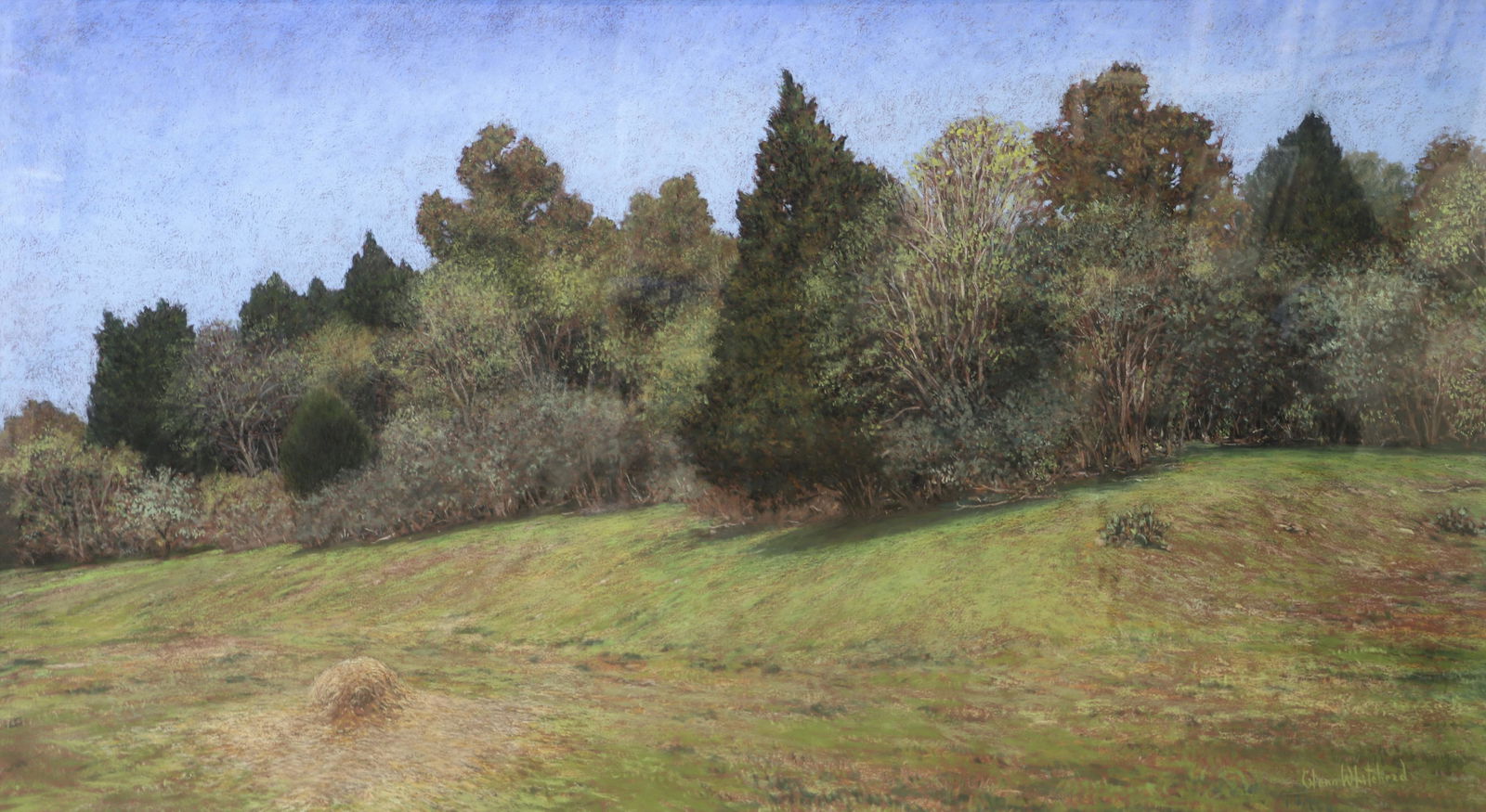 Glenn Whitehead Summer Landscape Pastel Painting (1 of 4)