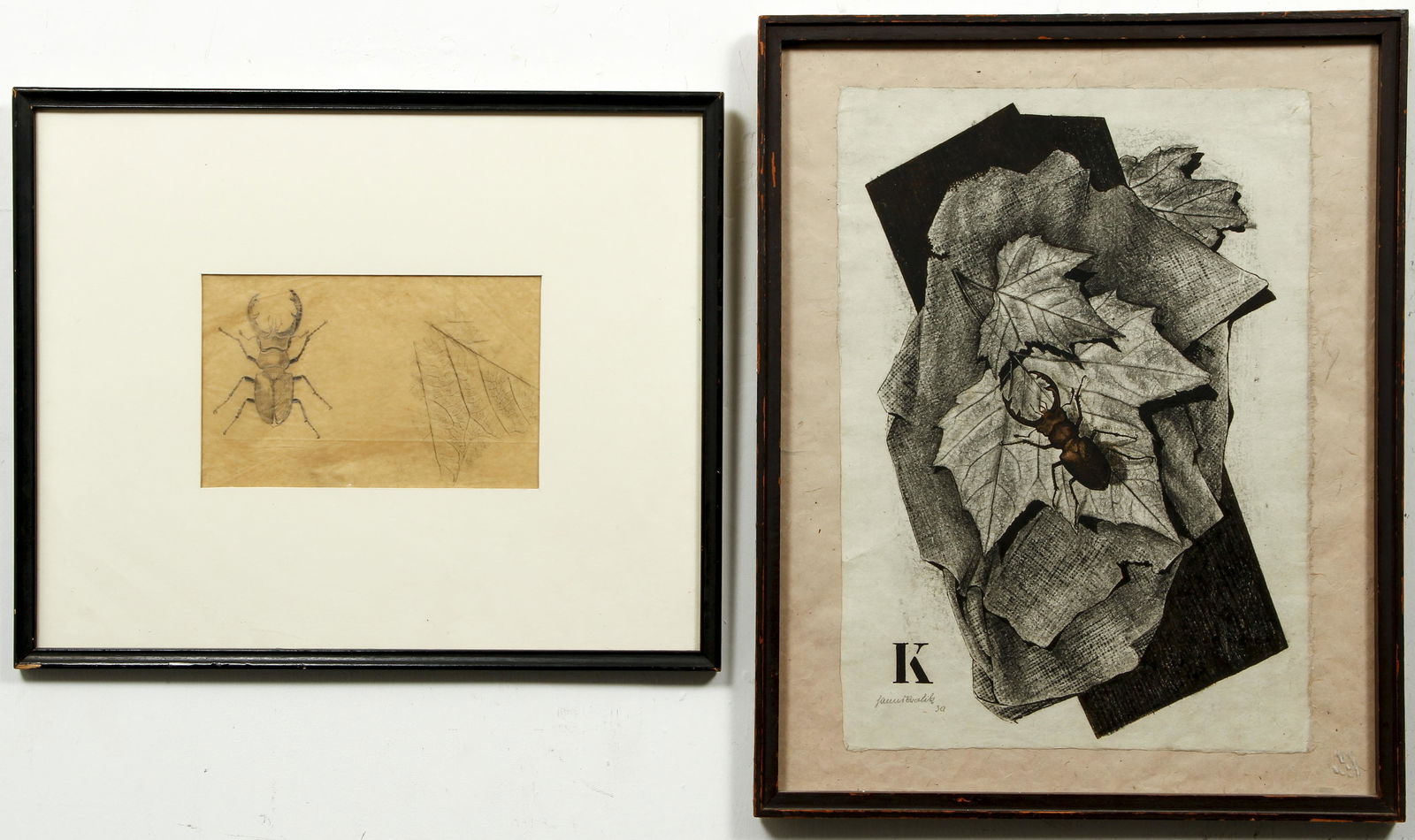 Hanns Kralik Beetle Signed Woodcut with Study (1 of 6)