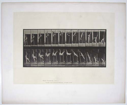 Eadweard Muybridge Animal Locomotion Plate 165 : Artist: Muybridge, Eadweard (British/American 1830-1904) Title: Animal Locomotion Plate # 165, Pole Vaulting Date: 1887 Medium: collotype Dimensions: 13.5 x 19.5 inches with printed inscription Copyr