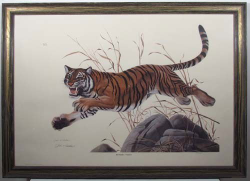 John Ruthven color litho "Bengal Tiger": Artist: Ruthven, John A. (American born 1924) Title: Bengal Tiger, Plate 1 Regal Series, Date: 1968 Medium: lithograph printed in colors Dimensions: 21 x 28 inches Edition Number: 805/1000