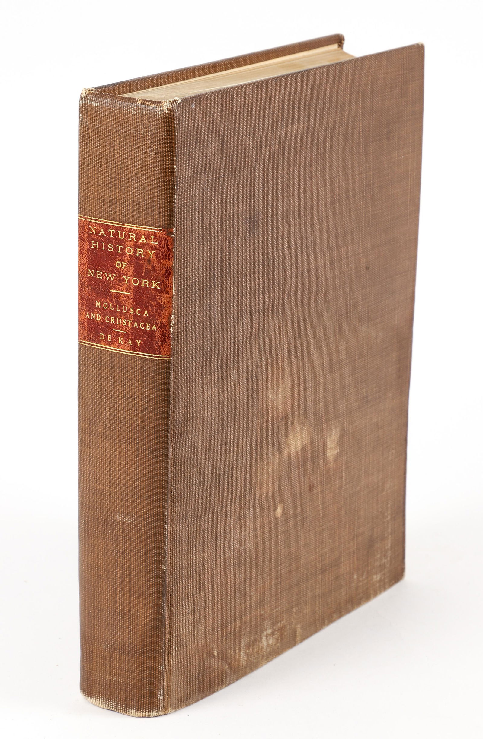 De Kay Zoology of New York Mollusca Mollusks (1 of 5)