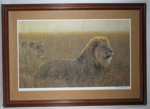 Robert Bateman - Lions in the Grass - limited editi
